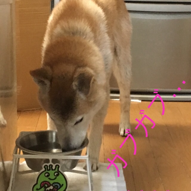 c0123890_20275298.jpg
