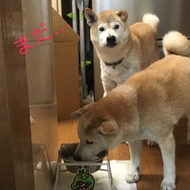 c0123890_20283627.jpg