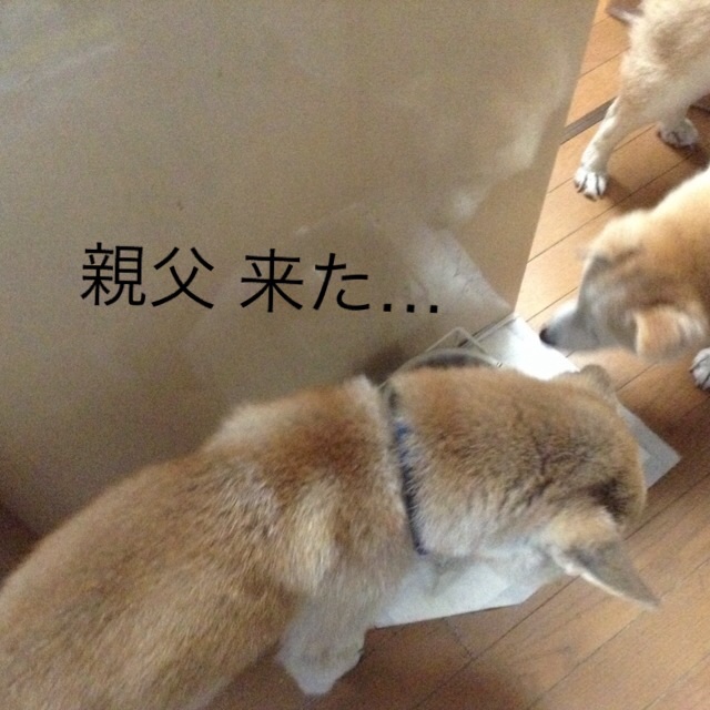 c0123890_20285056.jpg