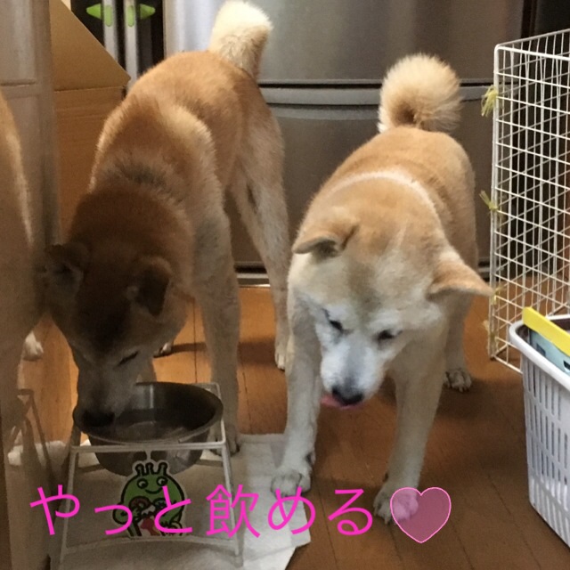 c0123890_202851.jpg
