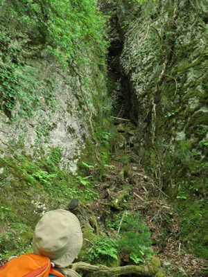 c0118495_23214776.jpg