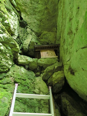 c0118495_23223469.jpg