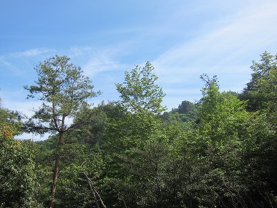 c0118495_23404928.jpg