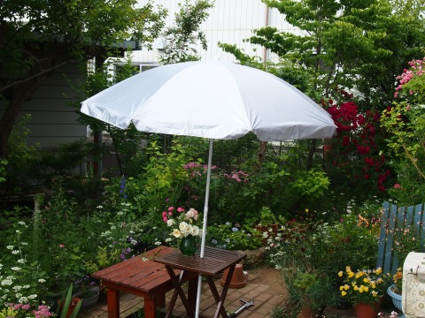 c0117007_22215559.jpg