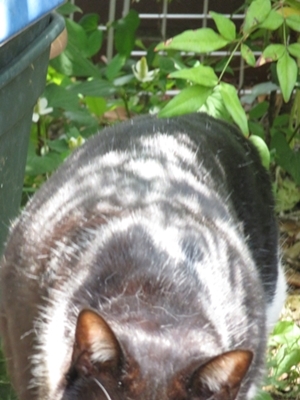 c0013922_12583956.jpg