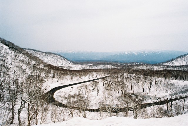 f0362725_03565127.jpg