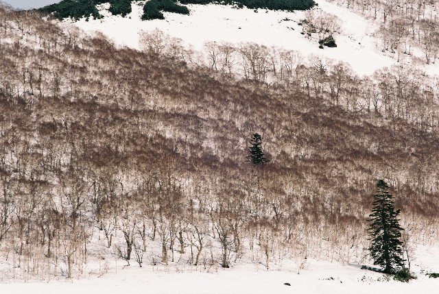 f0362725_05441785.jpg