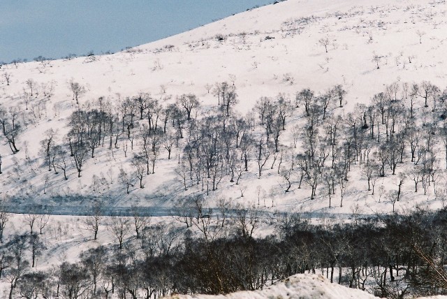 f0362725_05444223.jpg