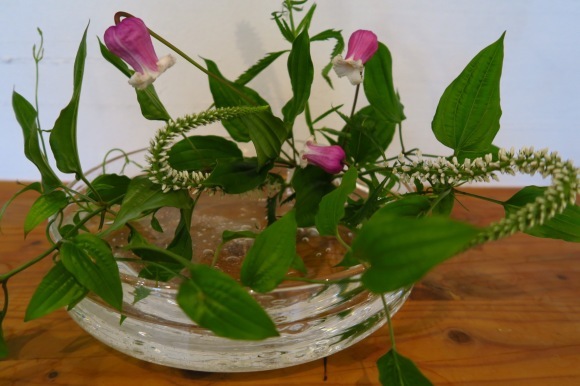 f0045630_09154312.jpg