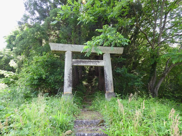 f0118332_0244273.jpg