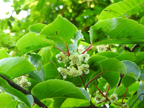 f0118332_0245799.jpg