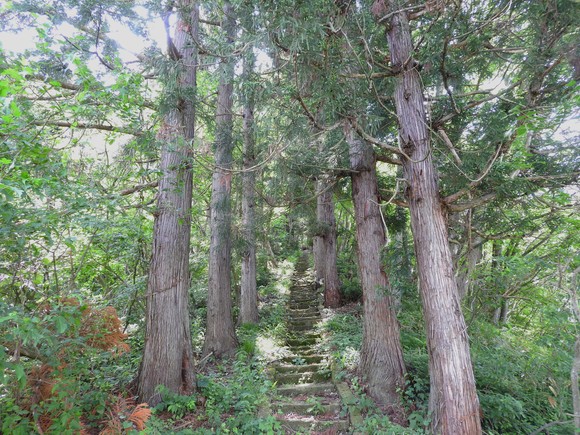 f0118332_025974.jpg
