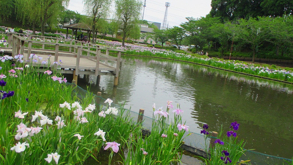 b0199933_1751373.jpg