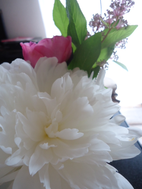 f0041850_12535570.jpg