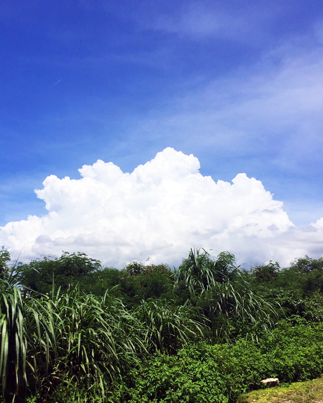 b0049152_16523080.jpg
