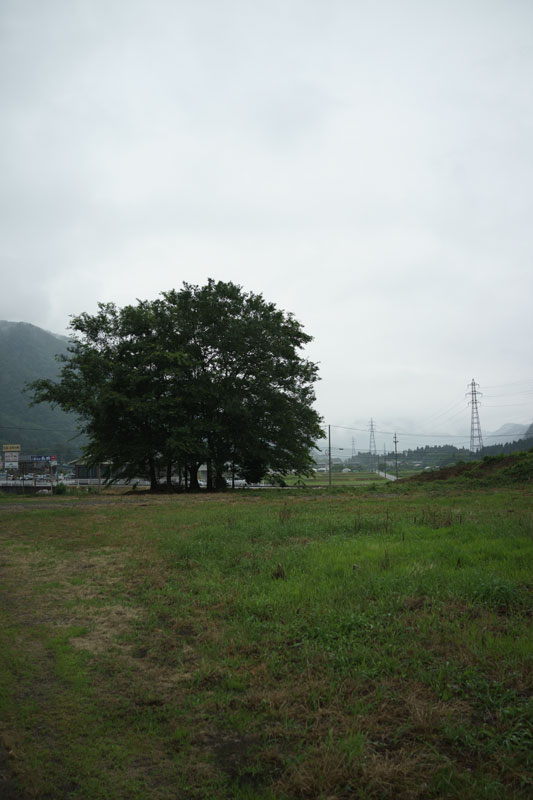 d0342652_15284910.jpg