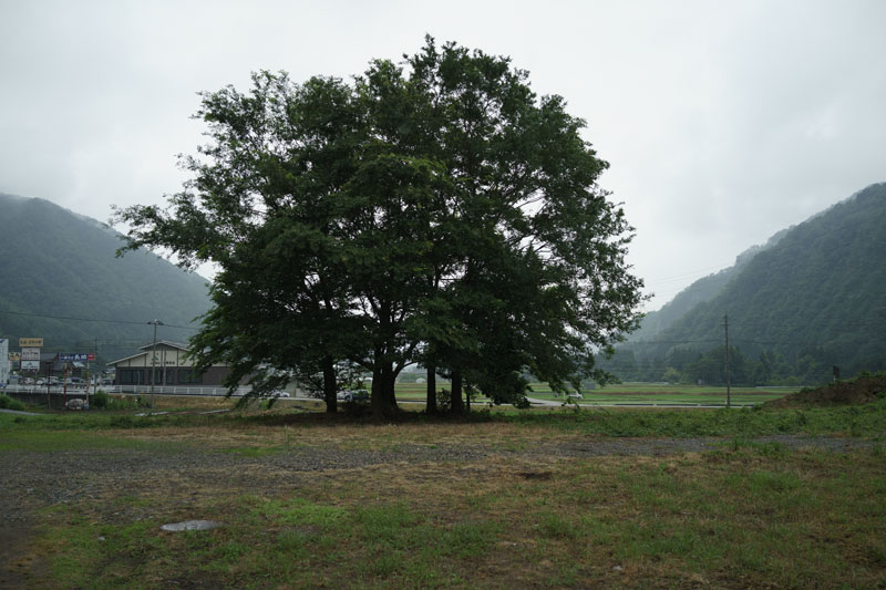 d0342652_15291735.jpg