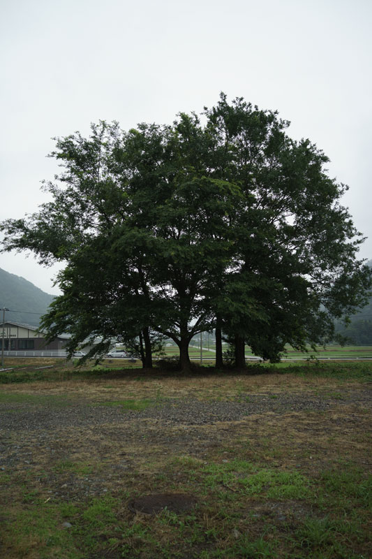 d0342652_15293618.jpg