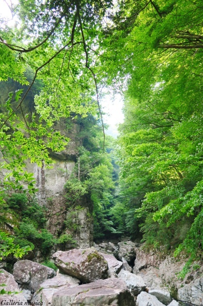 f0351853_02413922.jpg