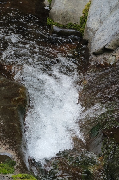 f0351853_02415174.jpg