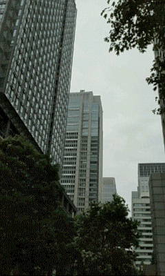 b0105259_15295374.jpg