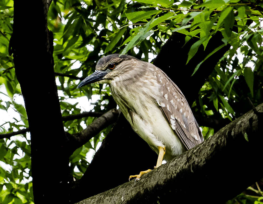 c0346859_20092105.jpg