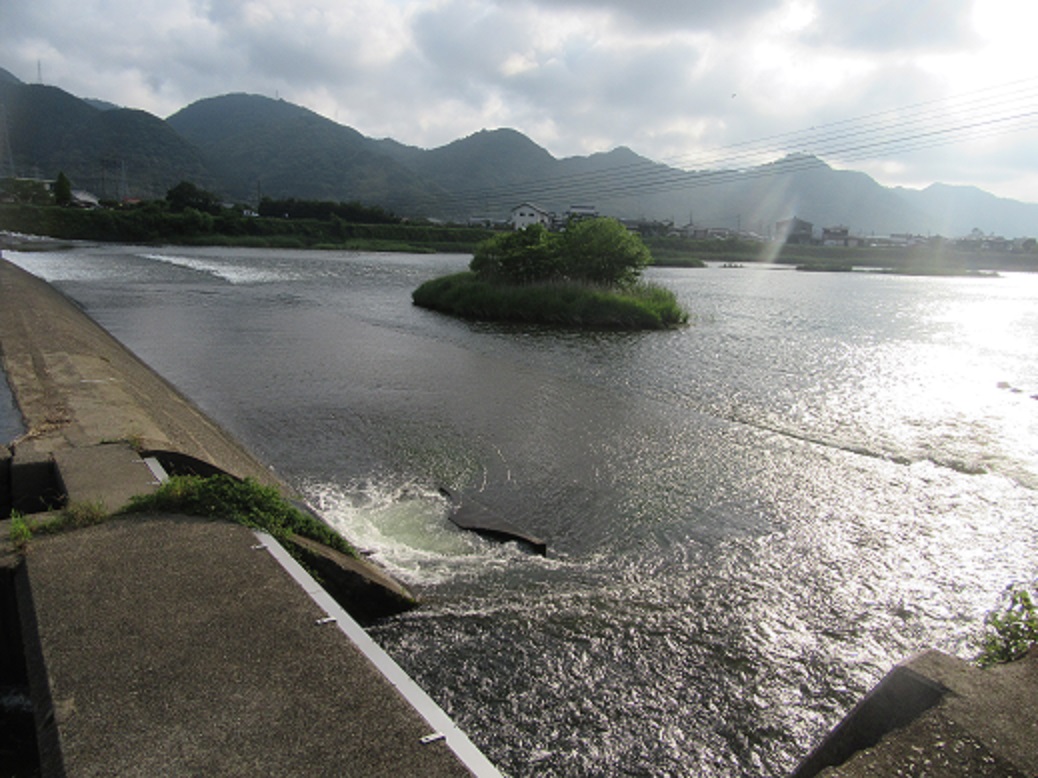 f0113862_18591481.jpg