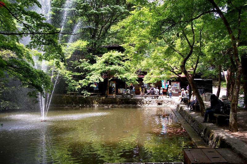 新潟県加茂市の加茂山公園 新・四季彩日記
