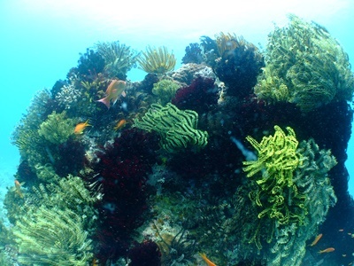 b0033573_20510928.jpg