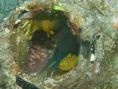 b0033573_20513219.jpg