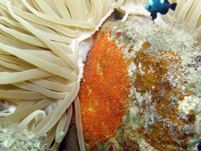 b0033573_20521949.jpg