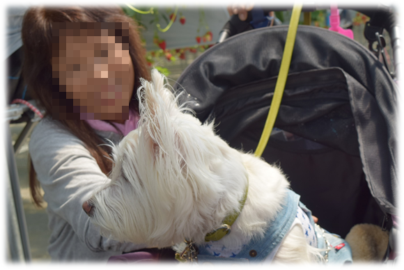 b0242873_00154861.png