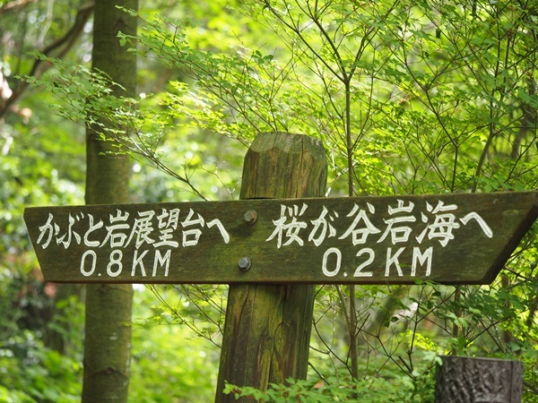 e0264374_15015770.jpg
