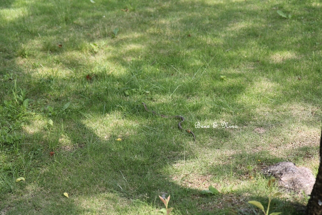 c0283778_10045100.jpg