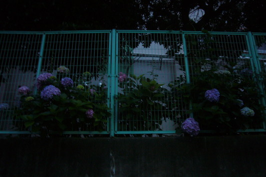 a0141884_19212415.jpg