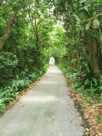 f0176795_14134030.jpg