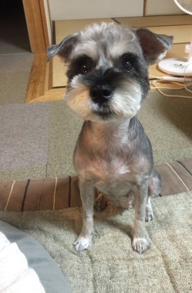 b0188998_23155371.jpeg