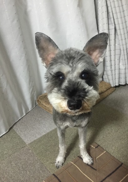 b0188998_23161057.jpeg