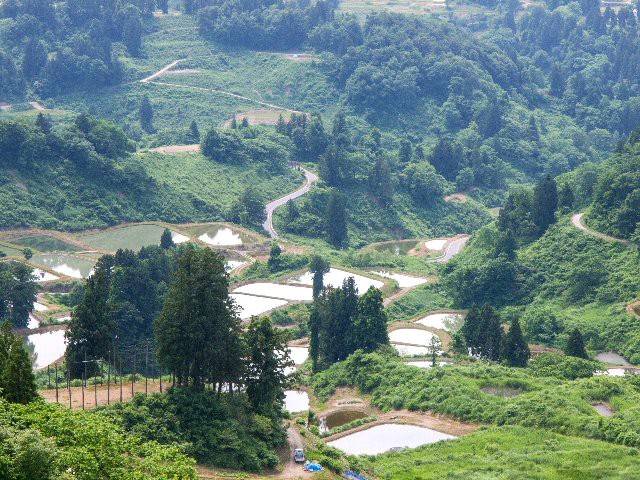c0008502_1027128.jpg