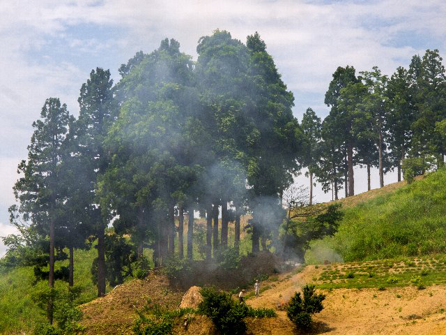 c0008502_9502831.jpg