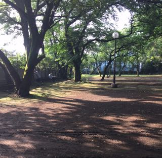 b0283019_951248.jpg