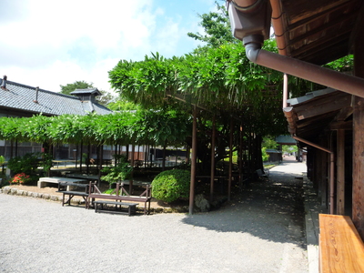 e0135219_1025328.jpg