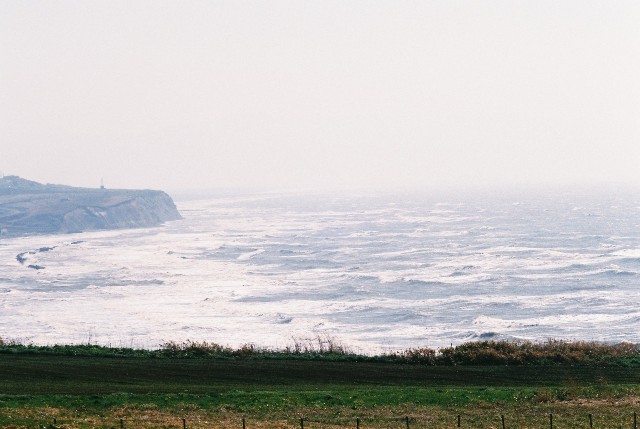 f0362725_20384928.jpg
