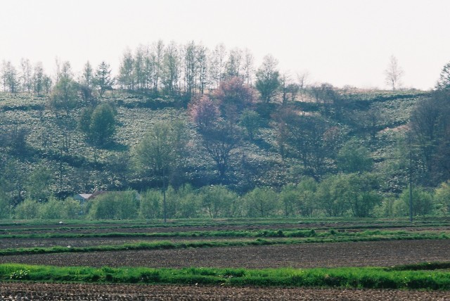 f0362725_20402286.jpg