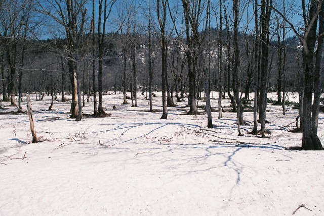 f0362725_23270462.jpg
