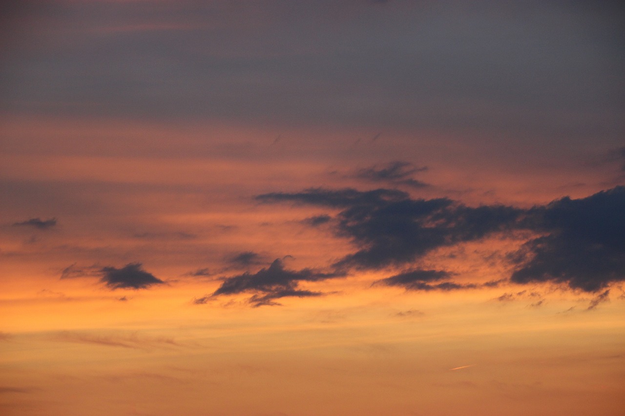 b0162728_705312.jpg