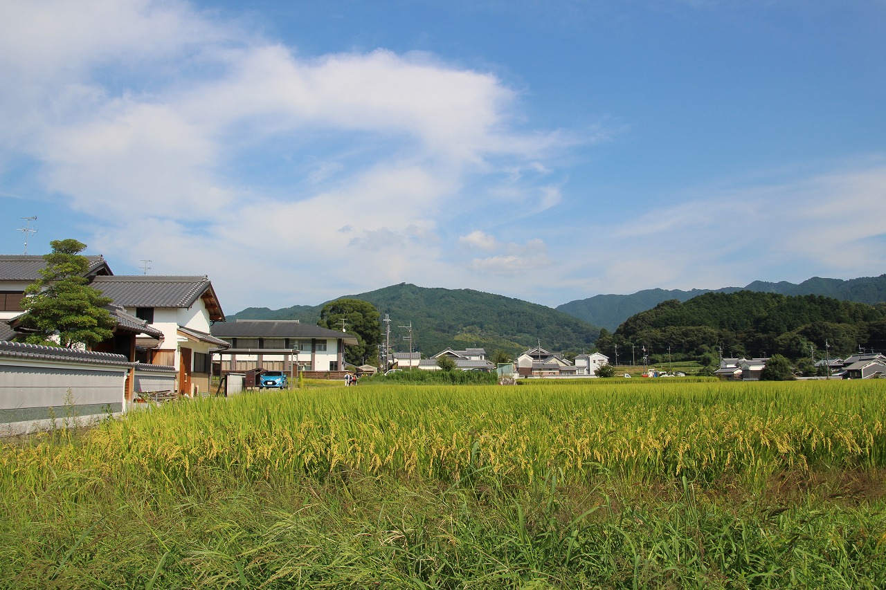 b0162728_723713.jpg