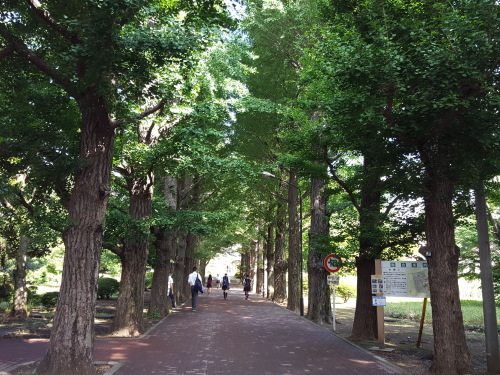 e0016828_11075426.jpg