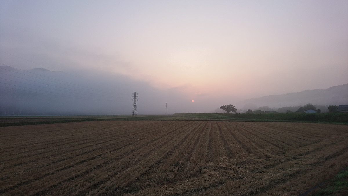 e0305733_62875.jpg