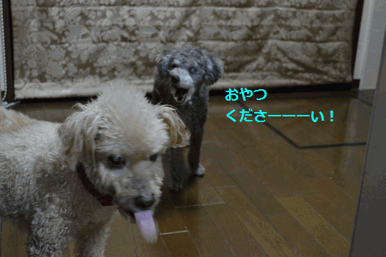 c0136736_1255748.gif